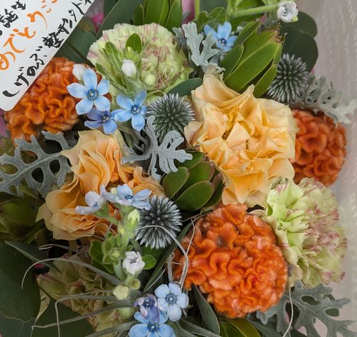 画像の説明 画像の説明