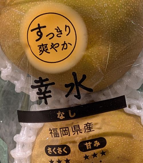 画像の説明 画像の説明